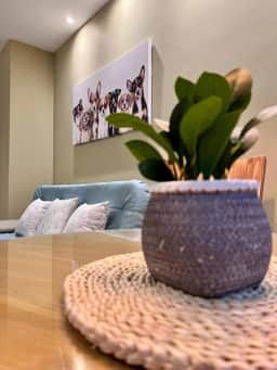 302S Moderno 2 hab. con diseño, Estilo y confort